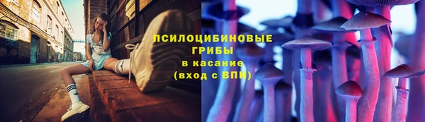 первитин Володарск