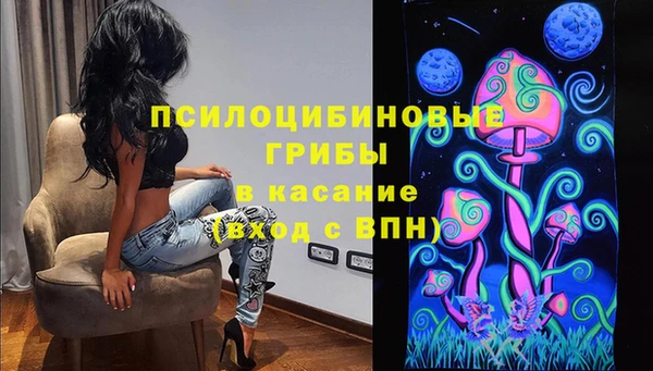 ГАЛЛЮЦИНОГЕННЫЕ ГРИБЫ Волосово