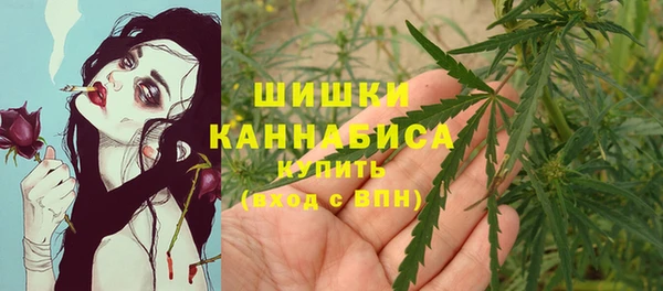 ГАЛЛЮЦИНОГЕННЫЕ ГРИБЫ Волосово