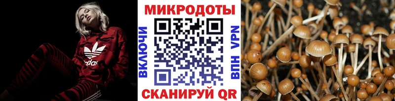 Псилоцибиновые грибы прущие грибы  купить наркоту  Саратов 